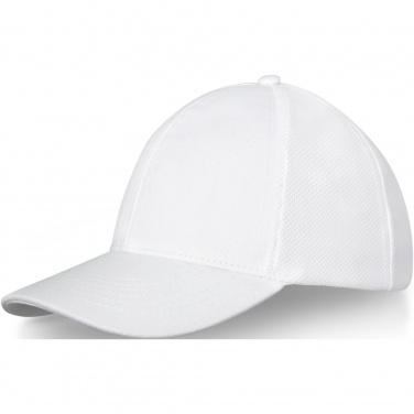 Logotrade Firmengeschenke das Foto: Drake Trucker Kappe mit 6 Segmenten