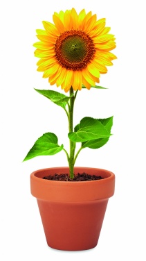 Logotrade Logogeschenke das Foto: Terracotta-Topf Sonnenblume
