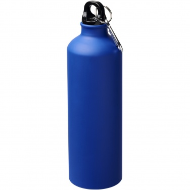 Logotrade promotional giveaway image of: Oregon 770 ml matte water bottle with carabiner