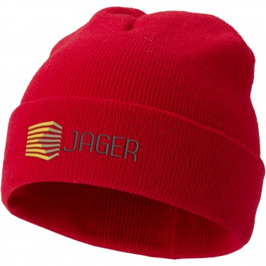 Logotrade business gifts photo of: Irwin beanie