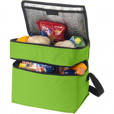 Logo trade promotional merchandise image of: Oslo 2-zippered compartments cooler bag 13L