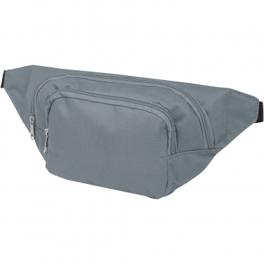 Logo trade corporate gifts picture of: Santander fanny pack with two compartments