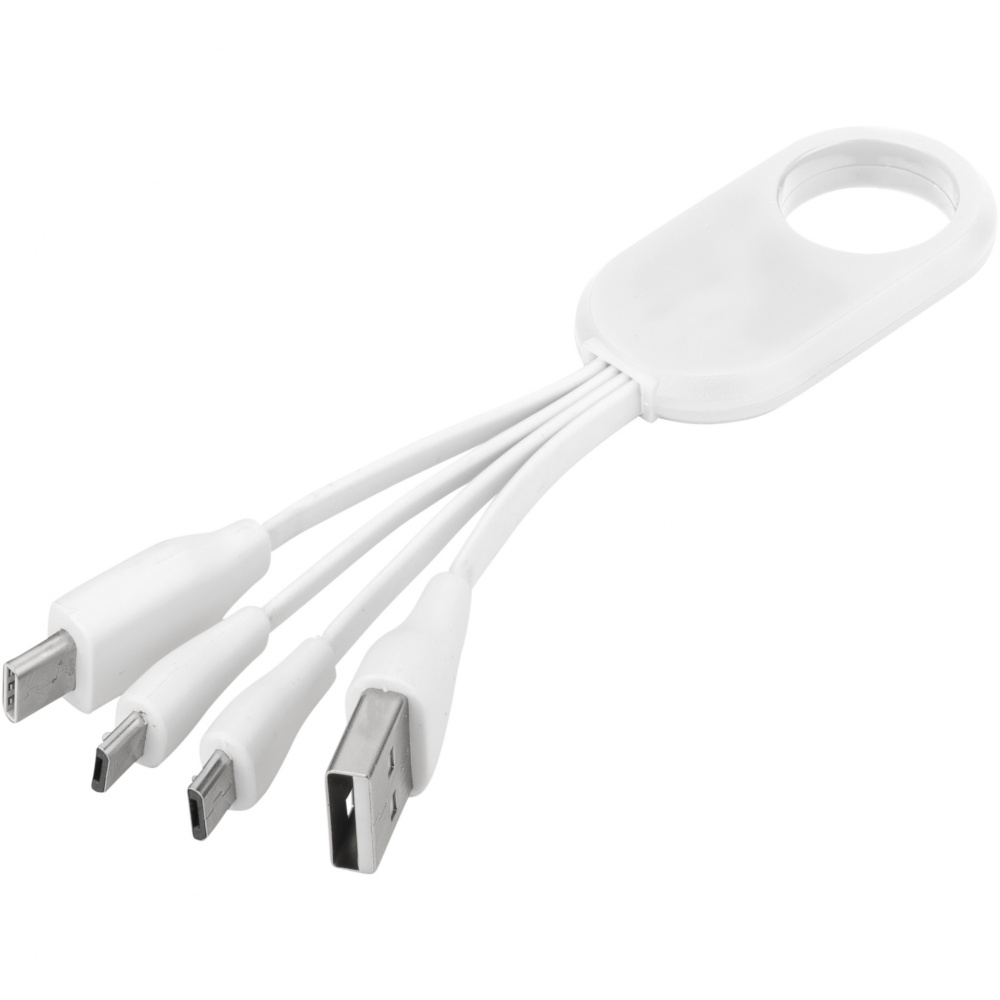 Logo trade business gift photo of: Troup 4-in-1 charging cable with type-C tip