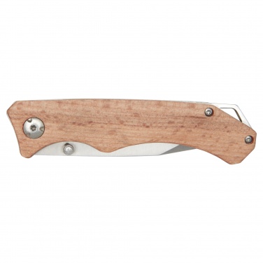 Logotrade promotional product picture of: Dave pocket knife with belt clip