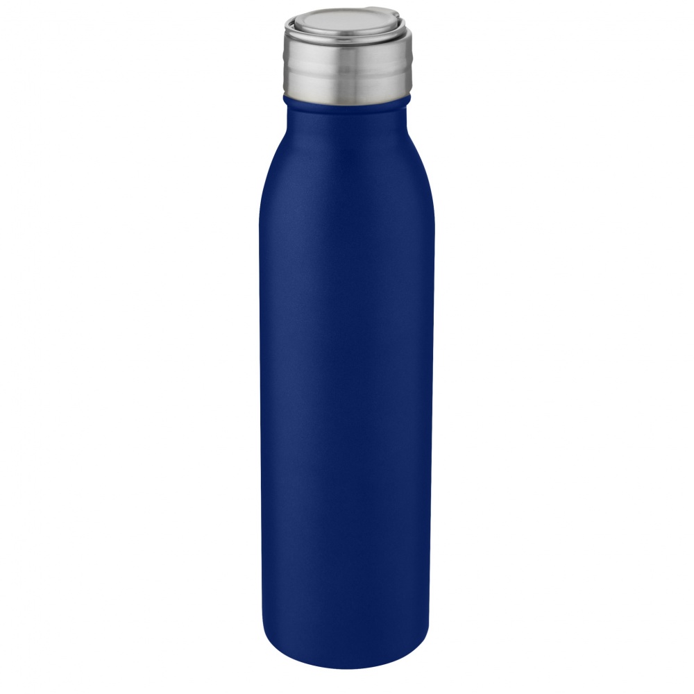 Logotrade advertising products photo of: Harper 700 ml stainless steel water bottle with metal loop