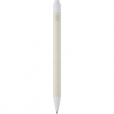 Logotrade promotional merchandise image of: Dairy Dream recycled milk cartons ballpoint pen