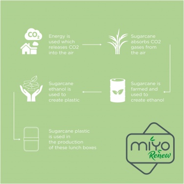 Logo trade promotional gifts image of: MIYO Renew double layer lunch box