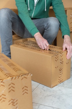 Logotrade promotional merchandise photo of: Parcel cutter