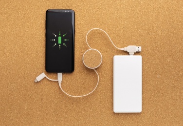Logo trade promotional gift photo of: Cork and Wheat 6-in-1 retractable cable