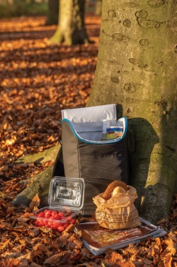 Logo trade promotional giveaway photo of: Explorer outdoor cooler backpack