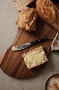 Logo trade promotional merchandise photo of: VINGA Gigaro butter knives