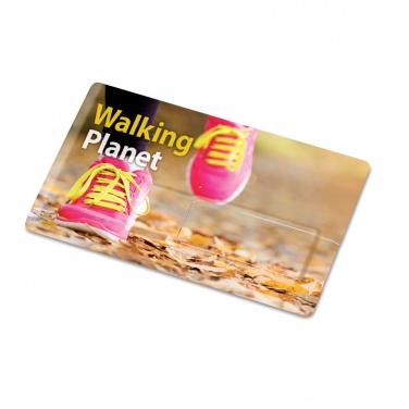 Logotrade promotional merchandise image of: Creditcard. USB flash 16GB