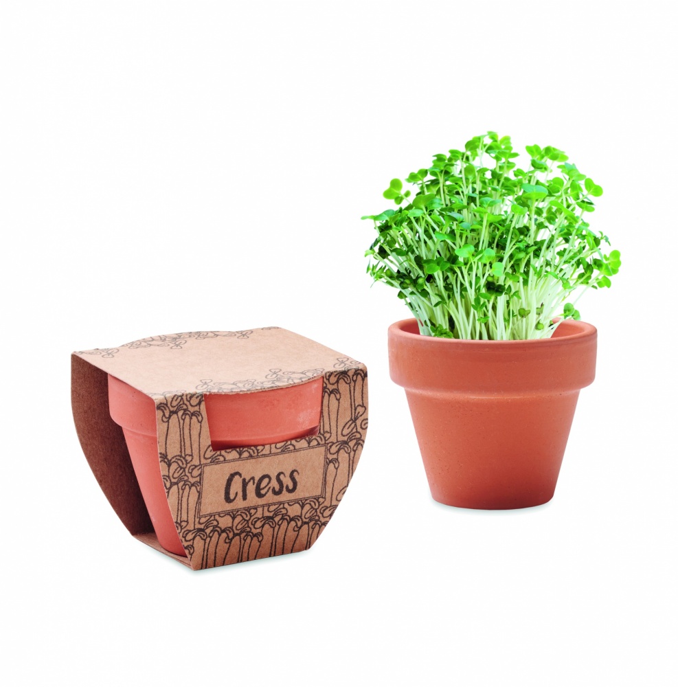 Logotrade promotional merchandise picture of: Terracotta pot cress seeds