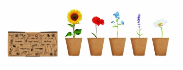 Logotrade promotional gift image of: Flowers growing kit