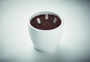 Logotrade promotional gift picture of: Herb seeds sticks