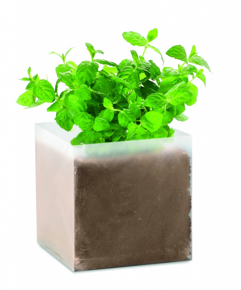 Logotrade promotional item image of: Compost with seeds "MINT"