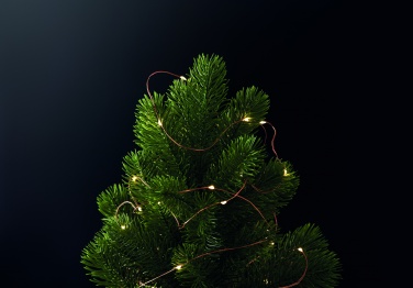 Logotrade promotional merchandise picture of: LED fairy lights string 5m