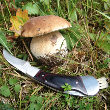Logotrade corporate gift image of: Mushroom knife PILZ Schwarzwolf