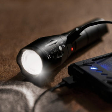 Logotrade promotional merchandise picture of: Flashlight DELGADA Schwarzwolf