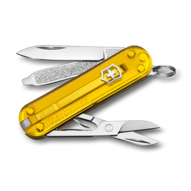 Logotrade corporate gift picture of: Pocket knife Classic SD transparent Victorinox