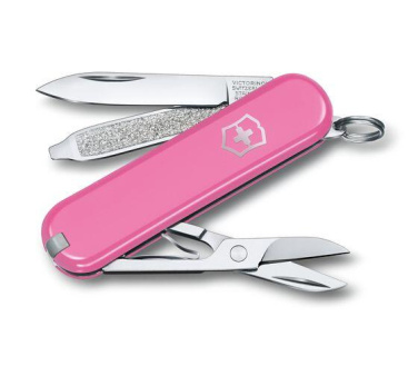 Logo trade promotional giveaways picture of: Pocket knife CLASSIC SD Victorinox