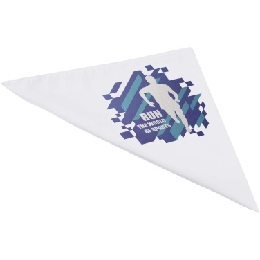 Logotrade corporate gift picture of: Heracles bandana