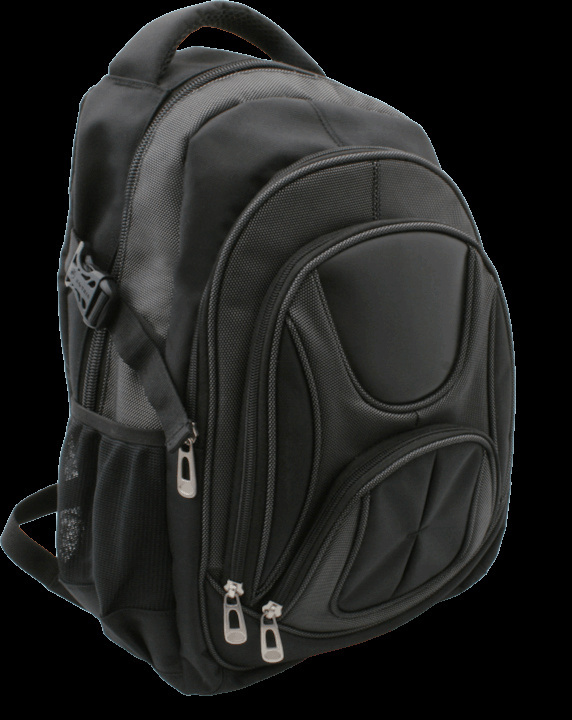 Logo trade corporate gifts image of: Laptop backpack 69903400