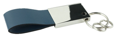 Logo trade promotional items image of: Keyring 909119