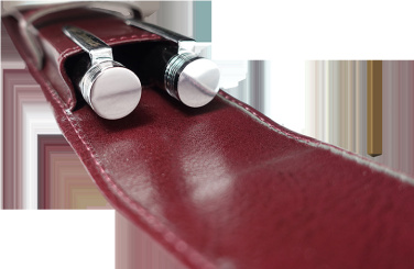 Logo trade promotional giveaway photo of: Pen case 236019