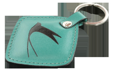 Logotrade promotional giveaway image of: Keyring 564131