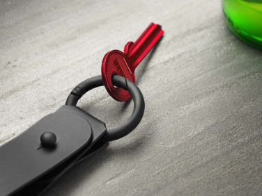 Logo trade promotional products picture of: Keyring 1709094