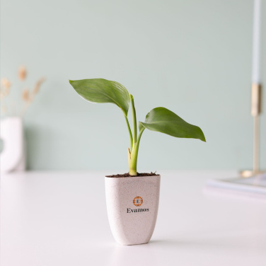 Logo trade promotional item photo of: Treemore Letterbox Trees Bird of Paradise plant