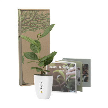 Logotrade promotional merchandise picture of: Treemore Letterbox Trees Tea plant