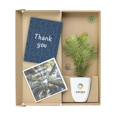 Logotrade promotional giveaway image of: Treemore Letterbox Trees Giant Sequoia