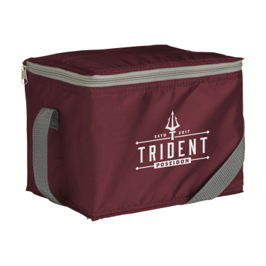 Logotrade promotional giveaways photo of: CoolMate RPET cooler bag