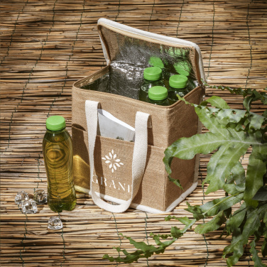 Logotrade promotional item image of: Agra Cooler Bag