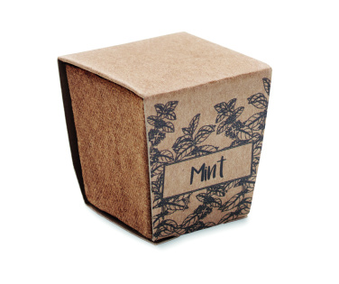 Logo trade promotional giveaways image of: Mint seeds growing kit