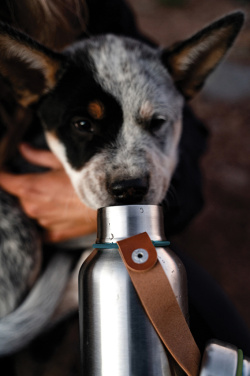 Logo trade promotional merchandise image of: Black+Blum Insulated Water Bottle Small 500ml