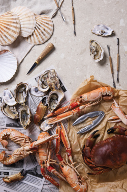 Logo trade promotional products picture of: VINGA Story of seafood