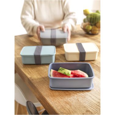Logotrade promotional giveaway image of: Dovi 800 ml lunch box