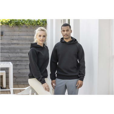 Logo trade promotional products picture of: Danali unisex interlock sports hoodie