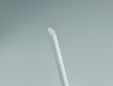 Logotrade promotional merchandise photo of: Long lasting inkless pen