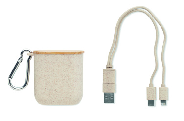 Logotrade promotional merchandise image of: Cable set in case