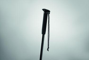 Logotrade promotional product picture of: Telescopic walking pole
