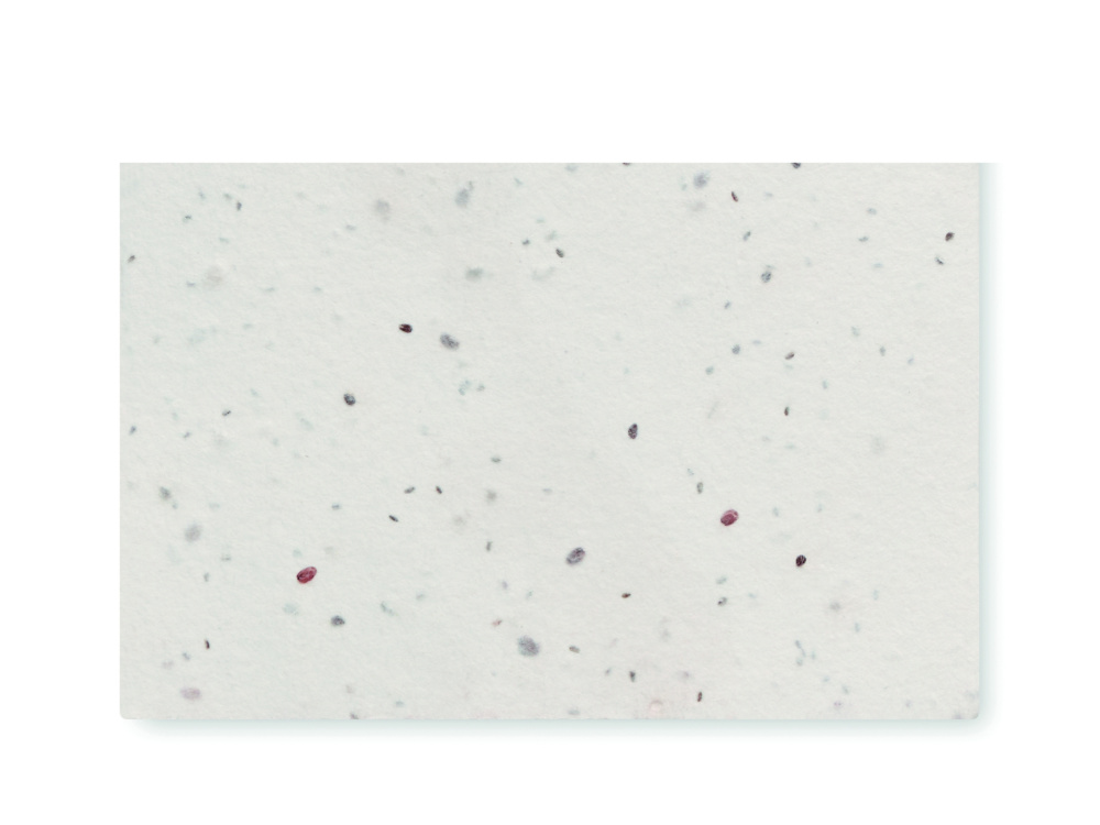 Logo trade promotional items image of: Wildflower seed business card.
