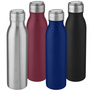 Logotrade reklaamkingitused pilt: Harper 700 ml roostevabast terasest veepudel metallist aasaga