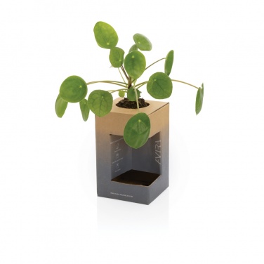Logotrade ärikingituse foto: Avira Alya RCS Re-steel termostops 300 ml