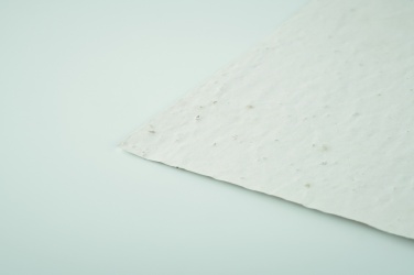 Logotrade firmakingituse foto: A6 metsalilleseemne paberileht