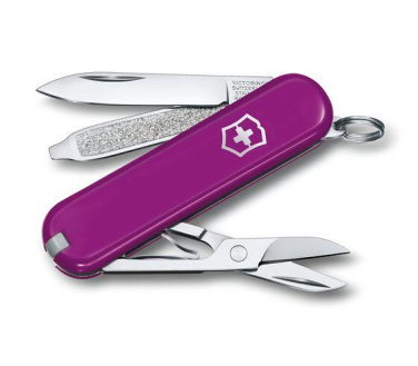 Logo trade reklaamkingid foto: Taskunuga CLASSIC SD Victorinox