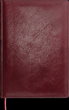 Logotrade firmakingid pilt: Kalendermärkmik 642131